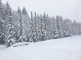 Berghotel Drei Brüder Höhe