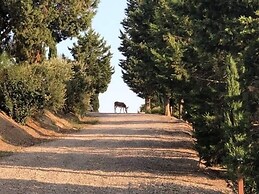 San Lorenzo Agriturismo