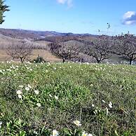 San Lorenzo Agriturismo