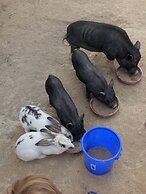 Hacienda Guaro Viejo