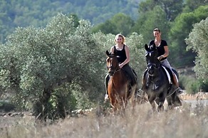 Hacienda Guaro Viejo
