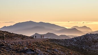 Hacienda Guaro Viejo