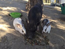 Hacienda Guaro Viejo