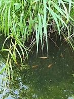 Au Fil des Lacs