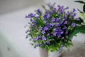 Boutique Hotel O'Live