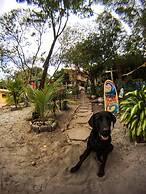 Macaco Surf Hostel
