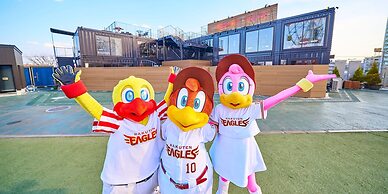 Rakuten STAY x EAGLES