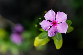 Residencial El Llano