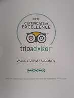 Rosie Traditional Gypsy Wagon