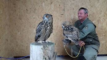 Rosie Traditional Gypsy Wagon