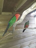 Ruby Shepherds hut Sleeps 4