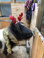 Ruby Shepherds hut Sleeps 4