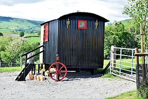 Meadow Shepherds hut