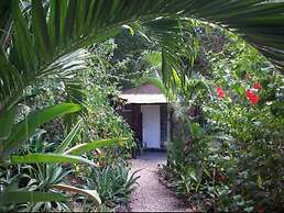 La Tropicale