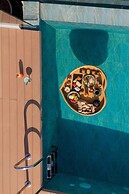 Minos Ambassador - Adults only