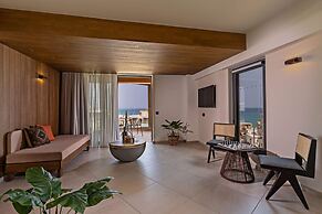 Minos Ambassador - Adults only