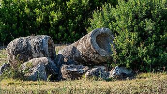 Agriturismo Carrucana