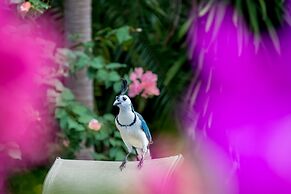 Hermosa Heights Villa 16