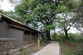 Little Africa Safari Lodge