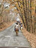 Country Aire Bed & Breakfast