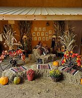 Country Aire Bed & Breakfast