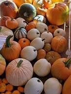 Country Aire Bed & Breakfast