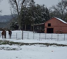 Country Aire Bed & Breakfast