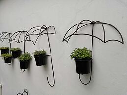 Fiore Guest Accommodation