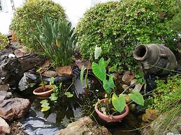 Fiore Guest Accommodation