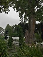 Fiore Guest Accommodation