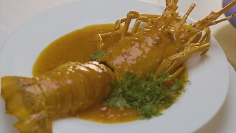 Paradise Grand Cruise