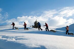 Lux Alp Chalet