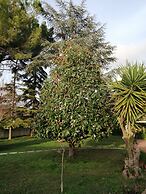Villa Oasi