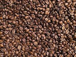 Ibis Budget Berlin City Potsdamer Platz