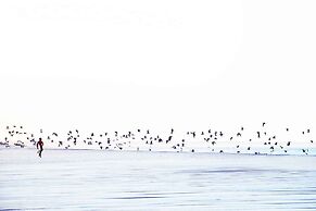 Ocean Vagabond Dakhla