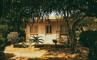 Ocean Vagabond Dakhla