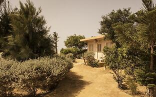Ocean Vagabond Dakhla