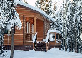 Denali Wild Stay