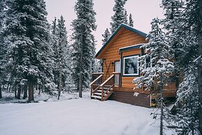 Denali Wild Stay