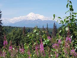 Denali Wild Stay