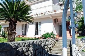 Waterfront Apartment Petrovina