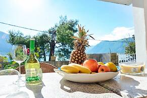 Waterfront Apartment Petrovina
