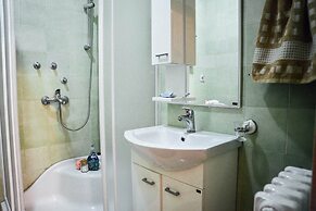 Waterfront Apartment Petrovina