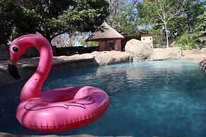 Butterfly Apartments