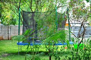 Butterfly Apartments