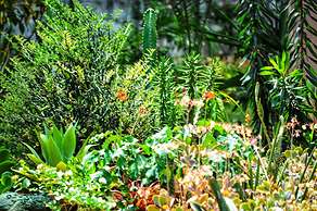 Butterfly Apartments