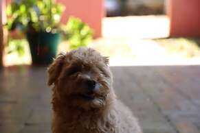 Butterfly Apartments