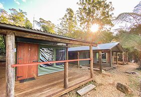 Binna Burra Rainforest Campsite