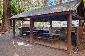 Binna Burra Rainforest Campsite