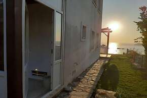 BO136 by Villaofsummer